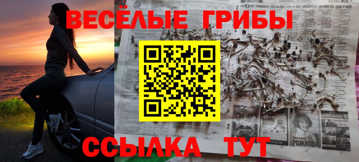 Галлюциногенные грибы мухоморы Майский