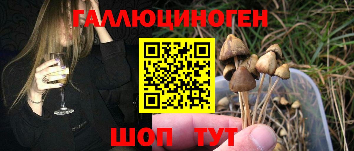 Майский  Галлюциногенные грибы Psilocybine cubensis  Вход с VPN  Псилоцибиновые грибы MAGIC MUSHROOMS 